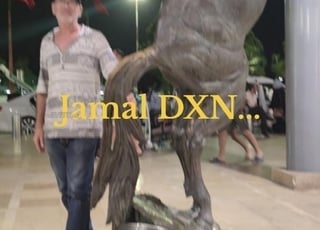 installation électrique et caméra de surveillance