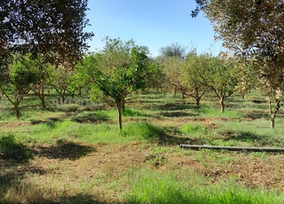 TERRAIN EXCEPTIONNEL