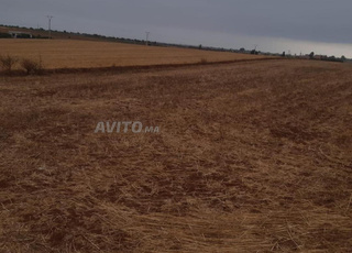 2.70 terrain à benslimane zyayda