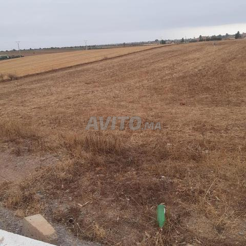 2.70 أرض في بنسليمان زيايدة - 2