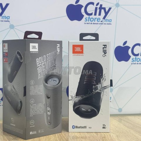 JBL Flip 6