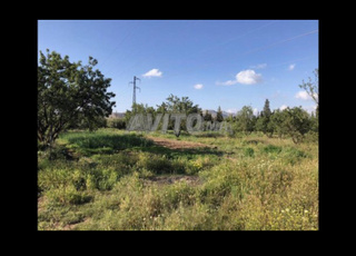 Terrain Ferme 2 hectares centre ville