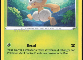 بيفويل 012/196