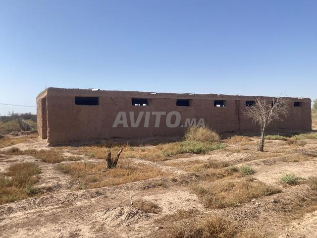 Terrain à vendre sur la route de Fès, superficie 20000 mètres carrés, avec un puits