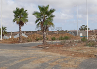 Terrain 3 niveaux Angle commerce Bouznika