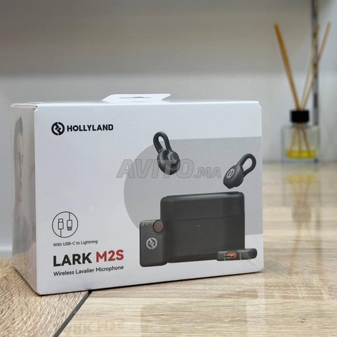 هولي لاند لارك M2S