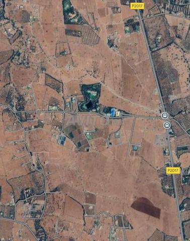 أرض مُسجلة للبيع (1 هكتار 8833 م²)