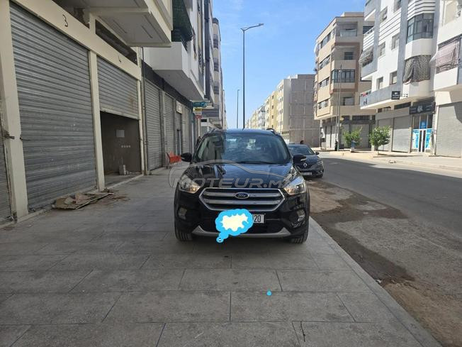 kuga 