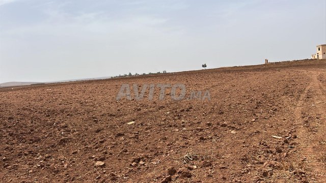 Terrain agricole d'un hectare et demi, à Ouled Hriz, près de la route