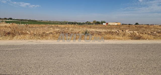 أرض فلاحية مجهزة بالكامل بمساحة 3.1 هكتار - 2