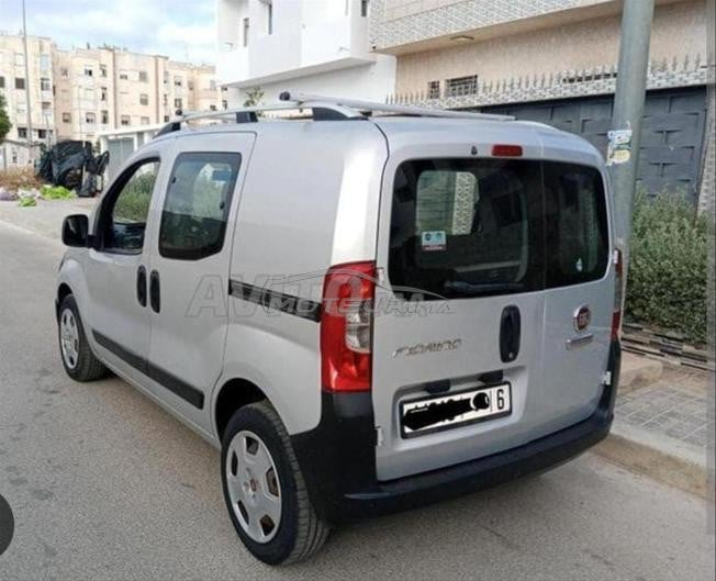fiat firino