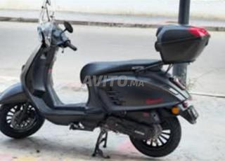 موتور أوستن ريبيكا 2024