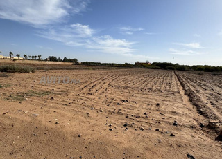 Terrain titré à 23 km du centre de Marrakech