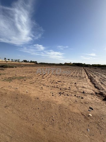 Terrain titré à 23 km du centre de Marrakech