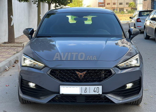 كوبرا ليون ديزل أوتوماتيكية 2024 في تطوان