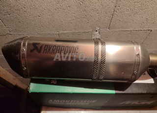 Échappement Akrapovic, Yamaha FZ8