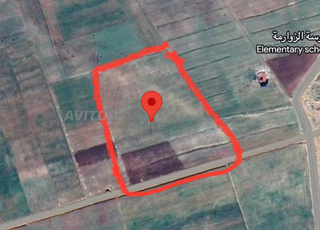 Terrain agricole à vendre - Excellent emplacement