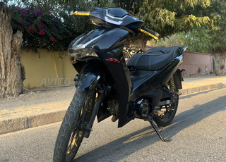 SH DAYTONA {noir-doré}