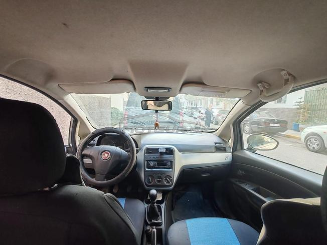 fiat punto