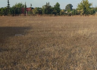 Terrain 1 ha titré à 5 min village d'El Arjate