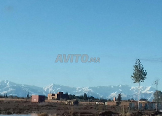 Terrain titré 1550 M2 Rte Amemiz Km17