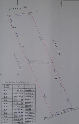 أرض للبيع في موقع جيد وثمن كذلك جيد