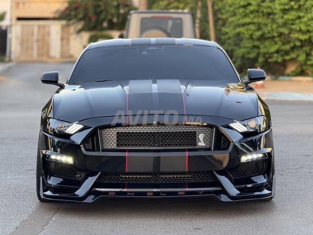 FORD MUSTANG GT350R SHELBY PACKAGE