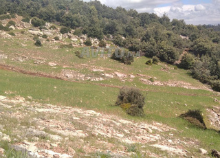 Terrain touristique titré parc national khénifra
