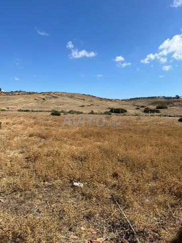 أرض للبيع بالقرب من طنجة - 2300 متر مربع