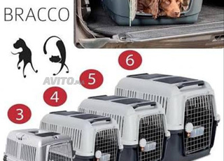 Cage de transport Bracco IATA – Chiens & Chats 🇲🇦