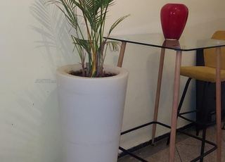 Pot lumineux Euro3plast plus plante naturelle