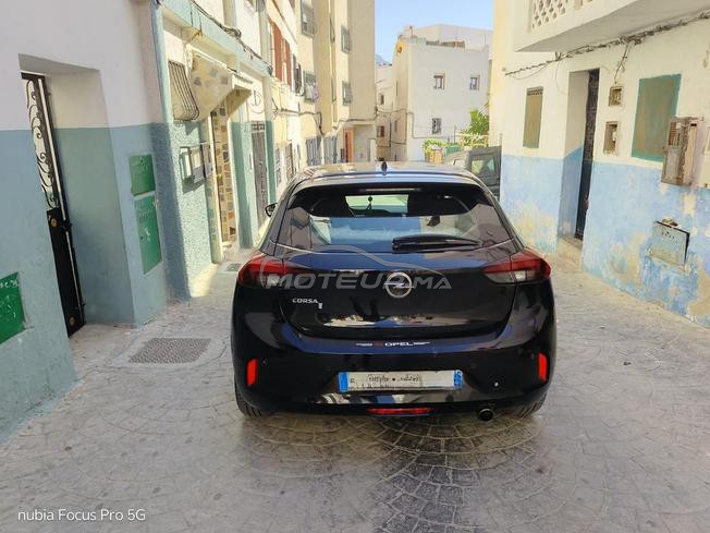 opil corsa 2021
