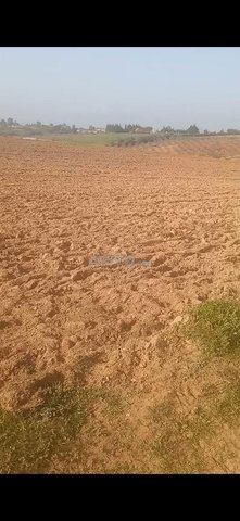 70 hectares, titre foncier, sol sablonneux