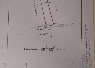 Hectare à vendre dans une zone urbaine près d'Agdal et Oujda à un prix raisonnable