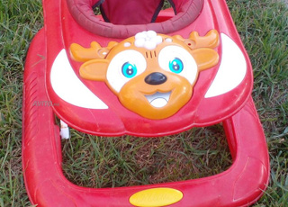 عجلة ما زالت نقية