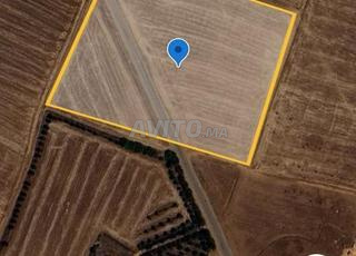 أرض فلاحية على طريق