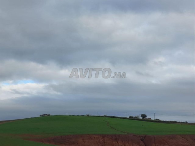 Terrain à vendre à Had Brachoua dans le cercle de Rommani