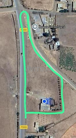 أرض 1 هكتار مع منزل