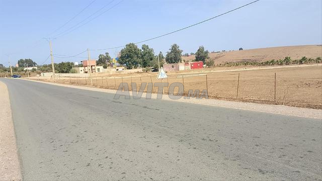 أرض 1 هكتار مع منزل - 2