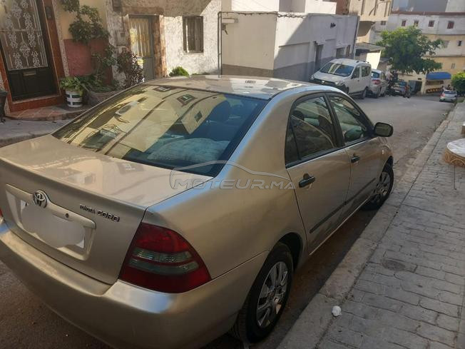 toyota corola