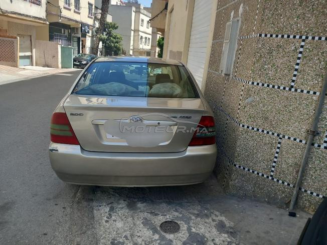 toyota corola