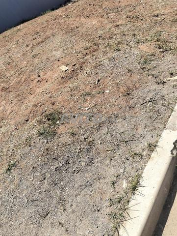 Terrain à vendre à Tamesna de 6 hectares au prix de 100 dirhams