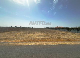 Terrain 2 hectare Autoriser station de service