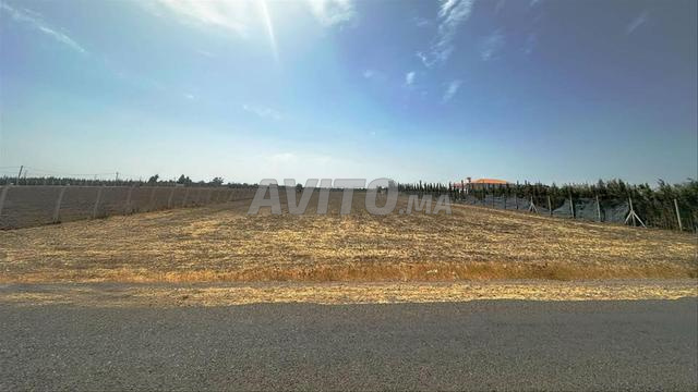 Terrain 2 hectare Autoriser station de service