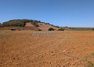 Terrain agricole de 28371 m2