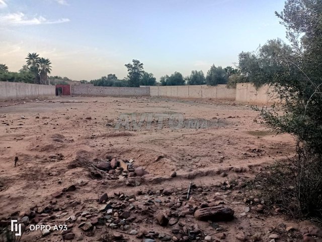 Terrain titré d’une superficie de 1 986 m²