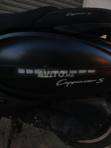 كابوتشينو 2024