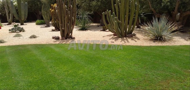 بستاني حارس