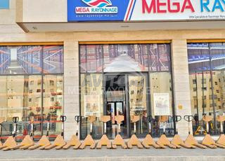 رافعة يدوية – BF2