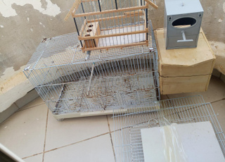 قفص الطيور مستعمل